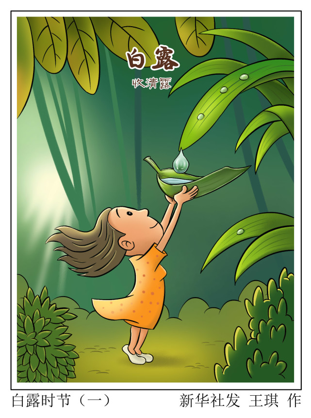 图表漫画二十四节气白露白露时节一