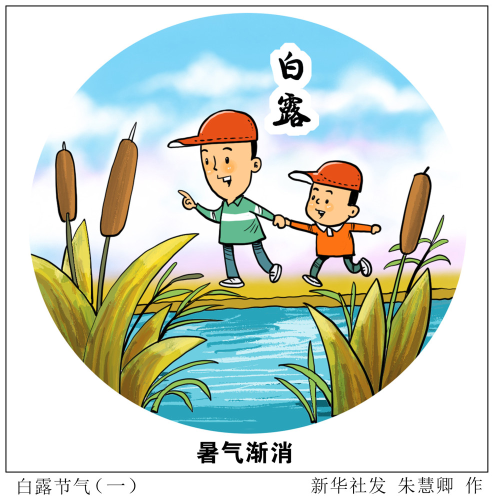 图表漫画二十四节气白露白露节气一