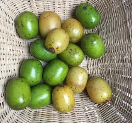 湖南人叫它酸枣皮厚核大肉少熟了也很酸却是一代人的回忆