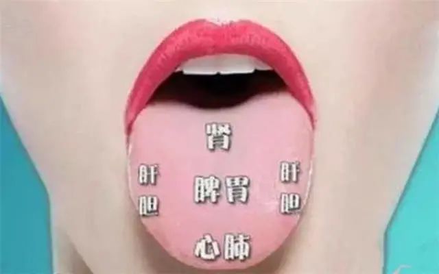 心开窍于舌:舌头的颜色,形态,软硬度等都是反应出心脏的健康与否.
