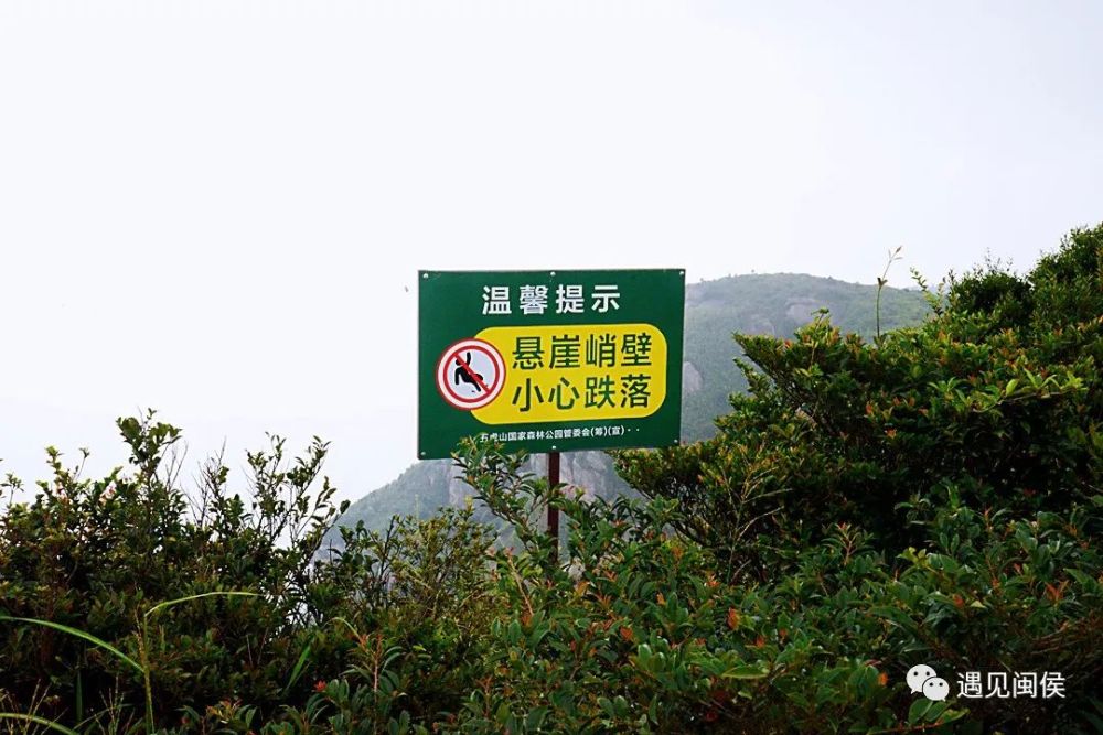 记者在五虎山景区看到,山顶临崖,临水等危险区域已设置各类安全警示牌