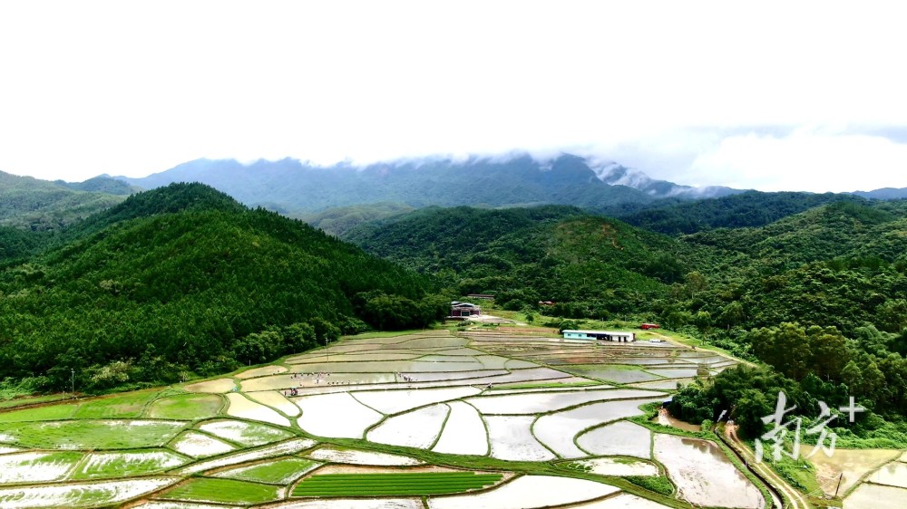 《广东天然富硒土地认定办法(试行)》正式颁布_腾讯新闻