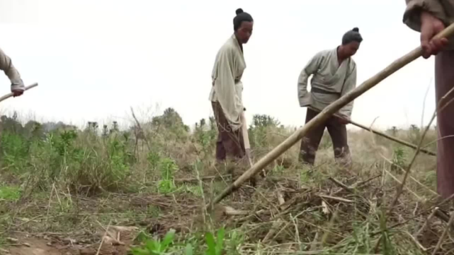 宝宝不会吃奶怎么办,刚出生的狗宝宝不会吃奶怎么办