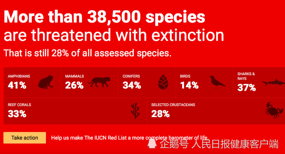 濒危物种红色名录:3.8万物种面临灭绝威胁,中华穿山甲极危!_腾讯新闻