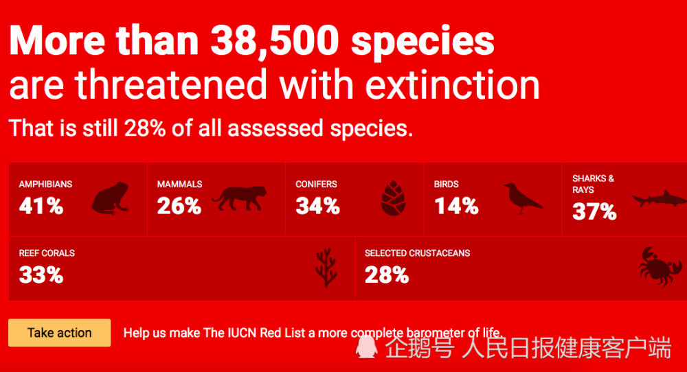 濒危物种红色名录38万物种面临灭绝威胁中华穿山甲极危
