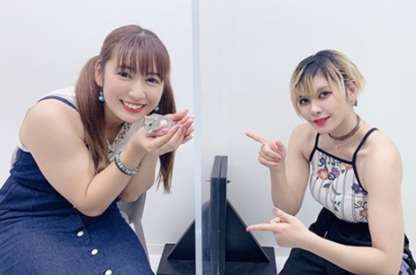 没人比她更适合jojo徐伦?声优菲鲁兹蓝晒肌肉,声音和身材双重贴合