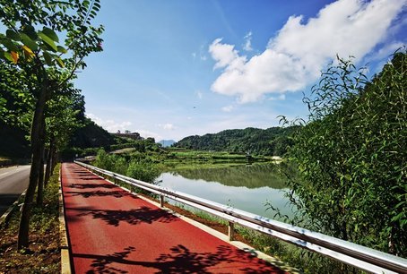环河环湖乡村旅游:针对大盈江源头花园水库,龙窝水库输水库区景观绿化