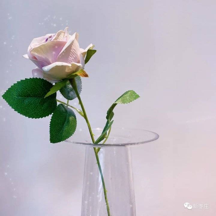 探店丨送花都有啥讲究 跟小编来枣庄这个地儿一探究竟 腾讯新闻