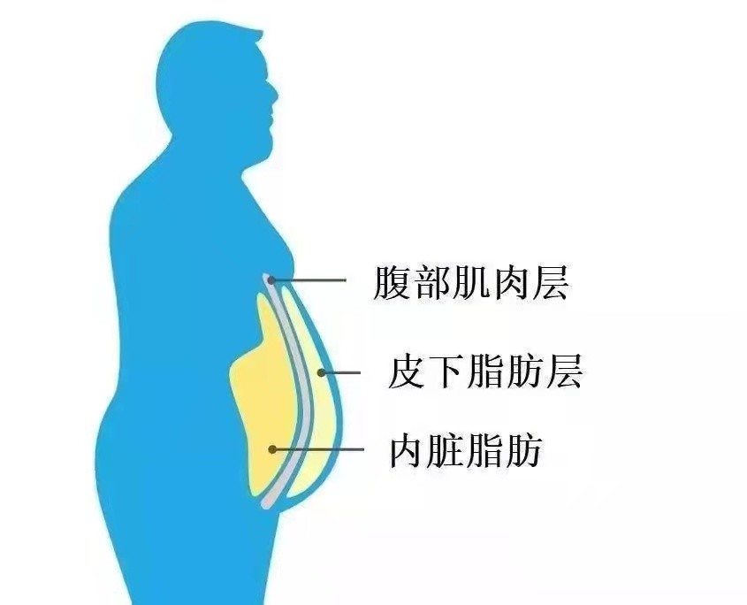 如何减掉顽固的腹部脂肪?不是做腹部动作就行,要从5个方面做起