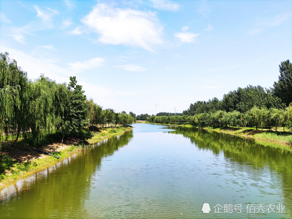 干涸多年的河沟下雨积水后为啥会有很多小鱼从哪里来的