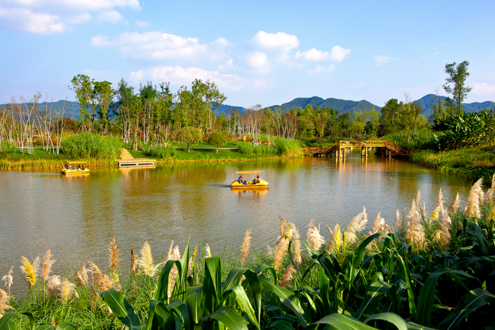 冬日氛围拉满在洛水湿地公园享受自然之美