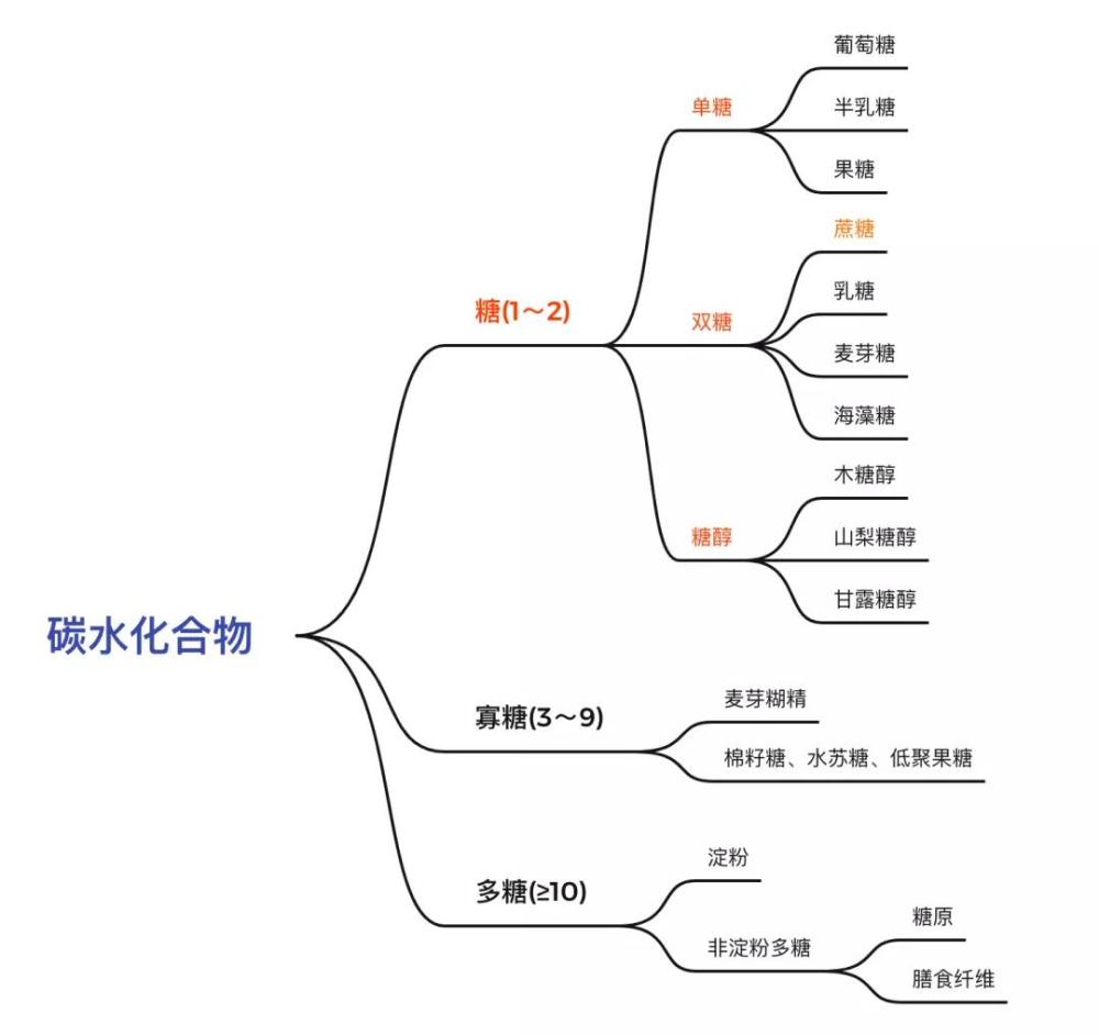 碳水化合物的分类图片