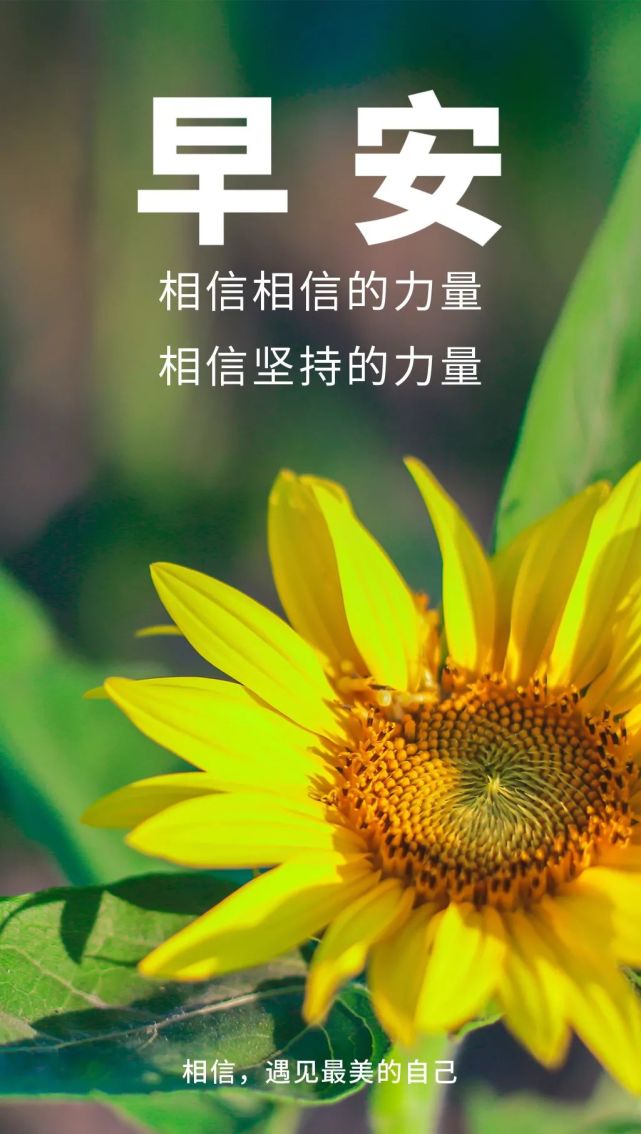 9月7日早安心语正能量阳光语录句子 白露海报图片带字正能量语录发