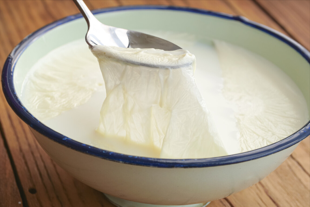 猪奶到底能不能喝知情人和杏仁露一样香但可能真的喝不起