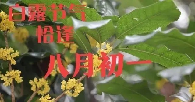 腾讯内容开放平台