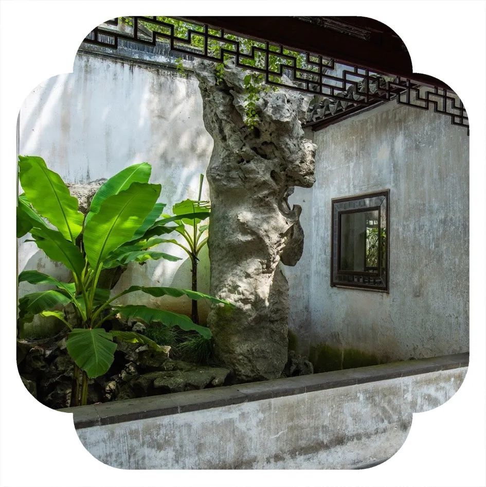 苏州园林里的"白露",满园生颜色,渐闻花果香