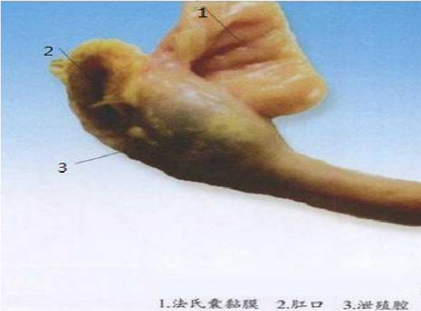 【生活】吃掉剩菜剩饭,就可避免浪费?其实,做饭前,你就已浪费