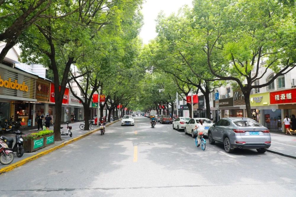 老南桥人的回忆这些老街有没有你从小到大的足迹