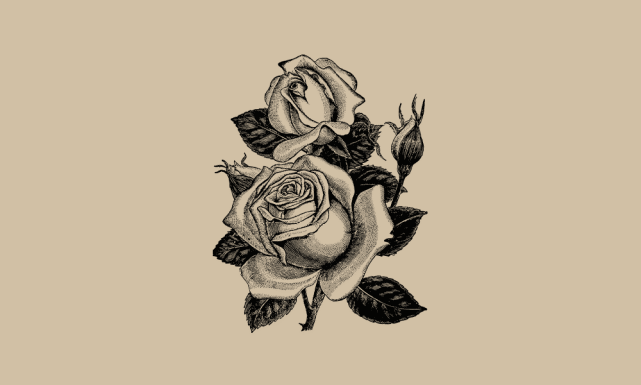 精品素材|复古手绘玫瑰花插画矢量素材