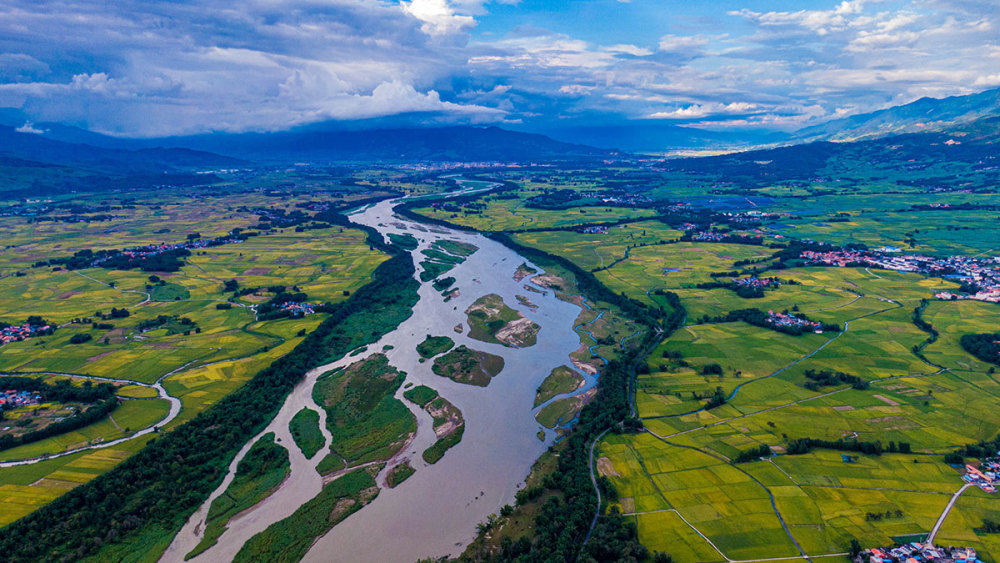 云南盈江沃野金黄 - 南粤传媒网