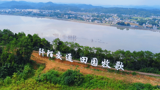 射洪有多少人口_太惊艳 射洪人家门口的普罗旺斯美景 竟藏在这里(2)