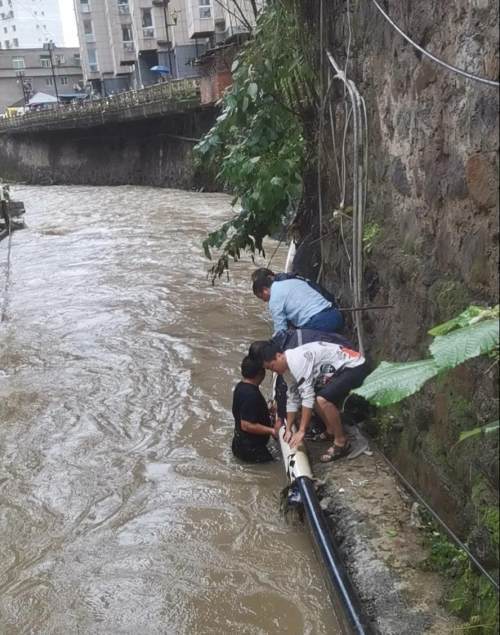 暴雨中,这个紫阳人跳进齐腰深的洪水……|紫阳县|暴雨|唐家双