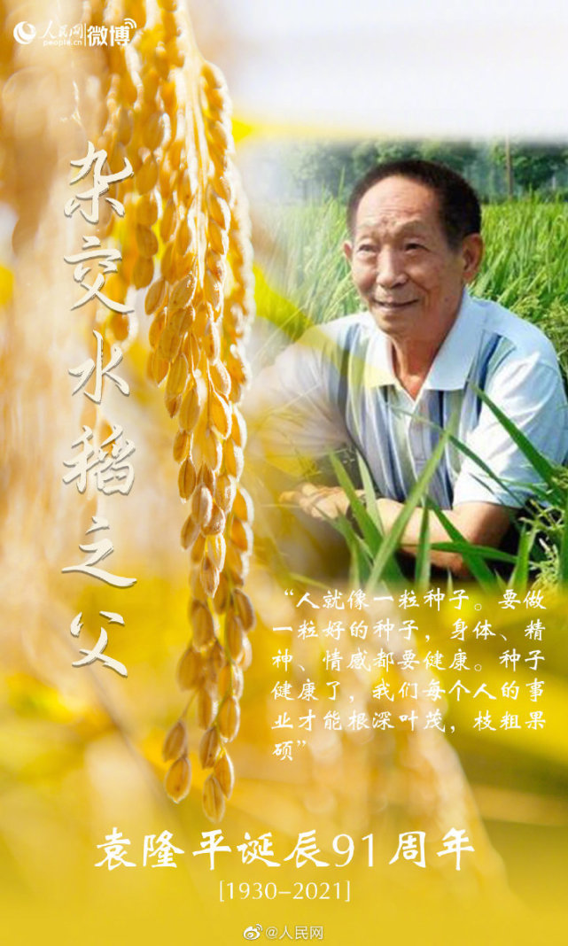 袁隆平被誉为"杂交水稻之父",他一生不畏艰辛,不断攀登杂交水稻研究的