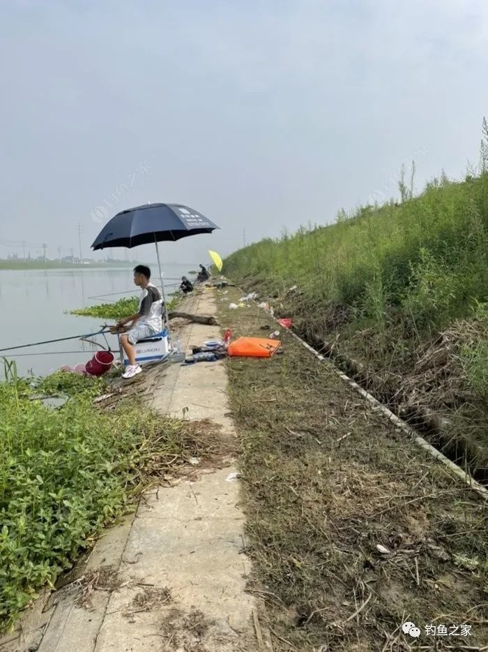 新孟河钓鱼图片