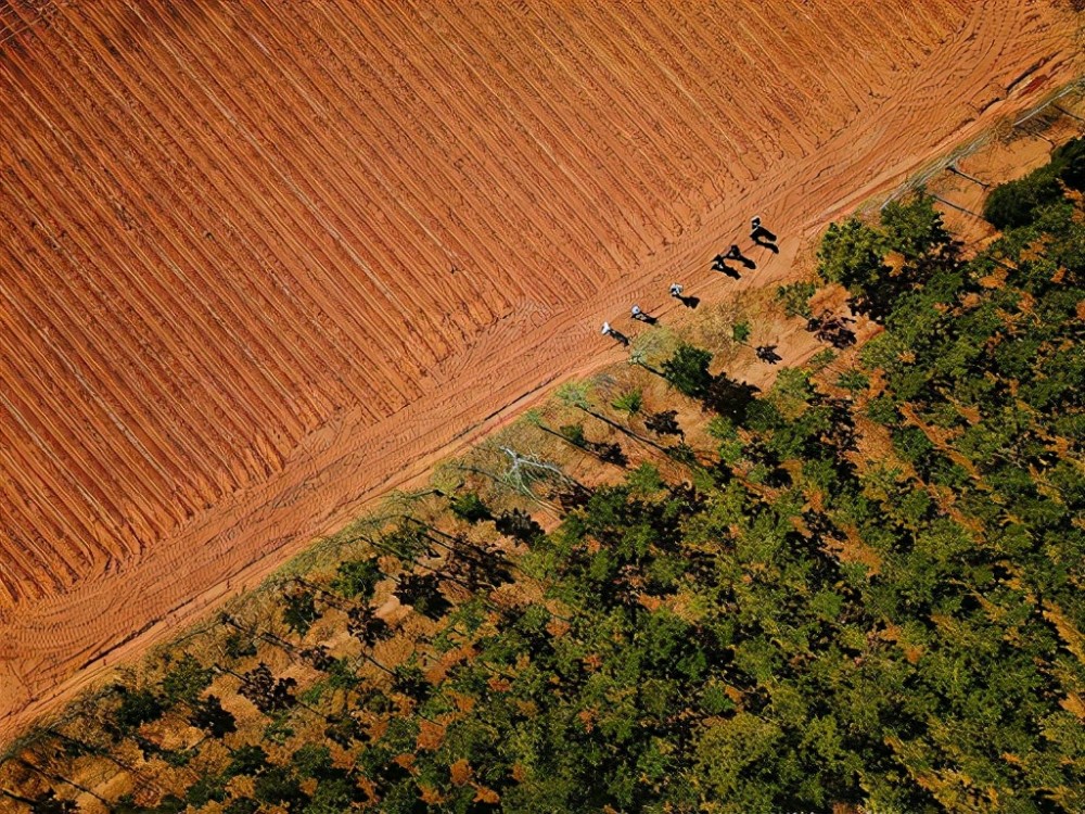 科学家发现地球正变绿原因就在中印但专家对印度非常担忧