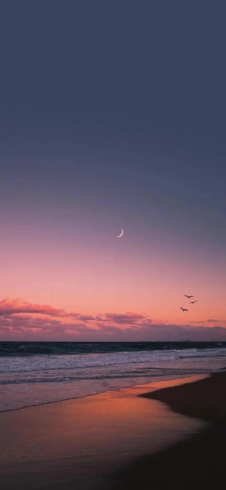 温馨又不失浪漫的全屏背景图【手机壁纸】