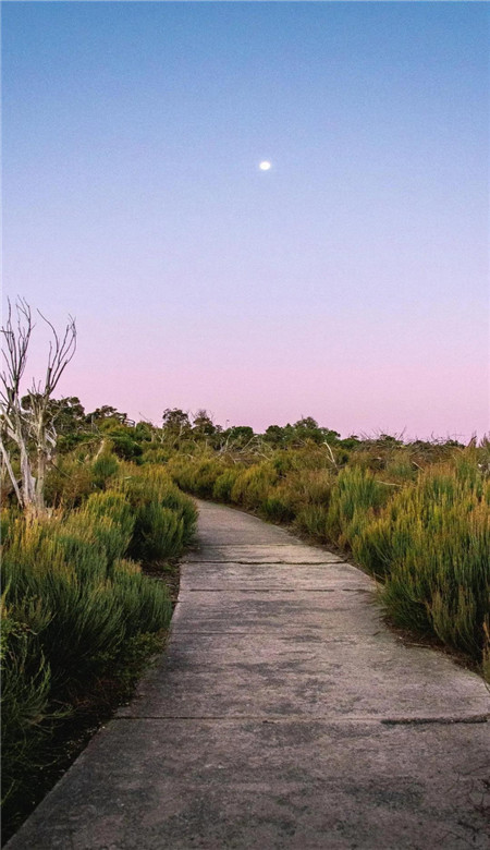 2021最新好看风景手机壁纸唯美意境壁纸皮肤高清图片