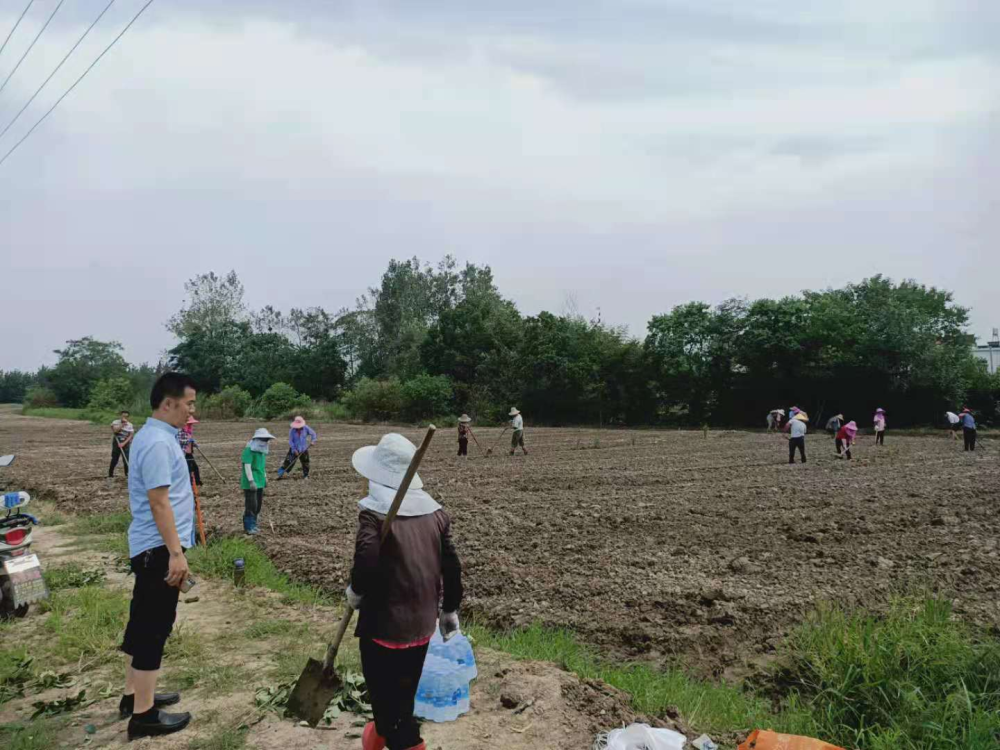 城北乡五星村发展农村集体经济走乡村振兴之路