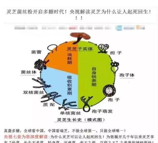 瑞芝生物伪冒央视遭质疑 董事长曾涉嫌传销被追逃(图4)