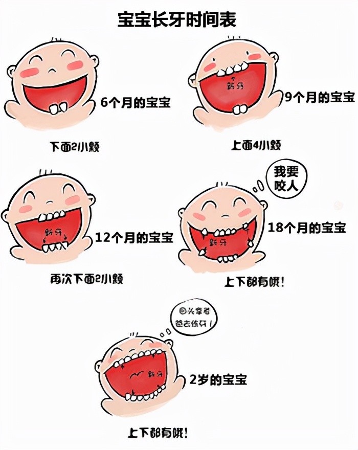 宝宝出牙不整齐的原因有哪些?