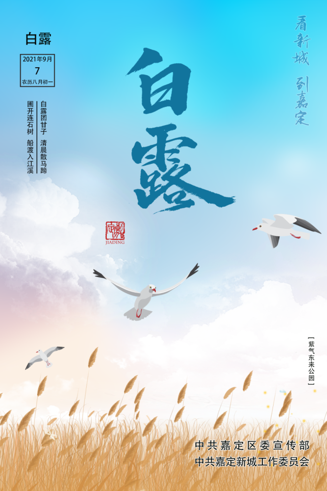 今日白露丨白露为霜风起秋凉