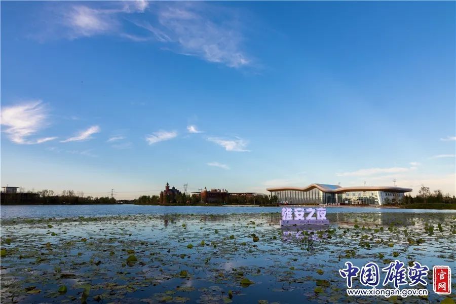 中国雄安官网毛鹤然 摄