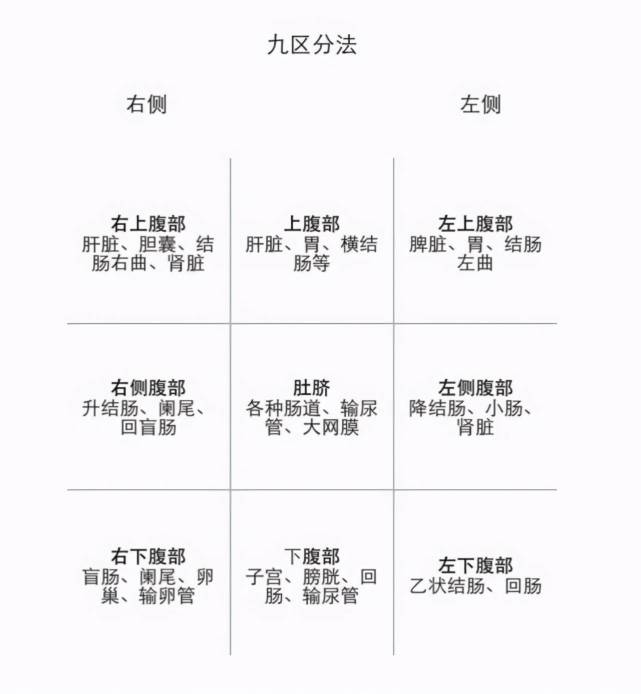 脏器的划分法,称为"九区法",也可以称为"井字法",就是以肚脐为中心点