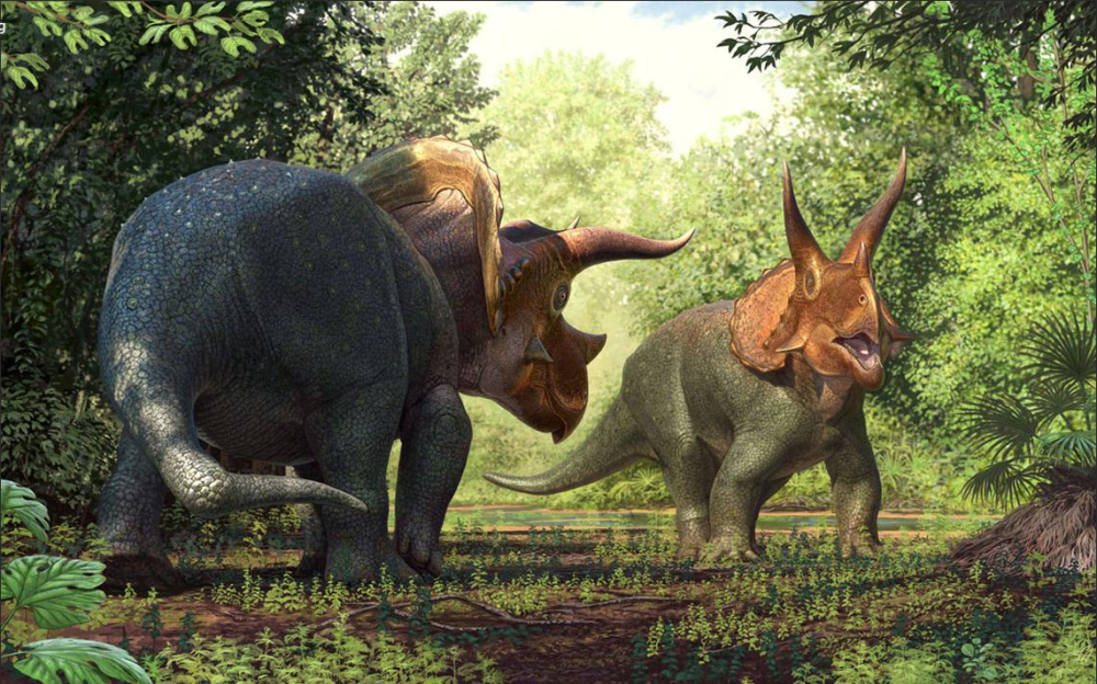 最大三角龙将被拍卖,估价超过千万!