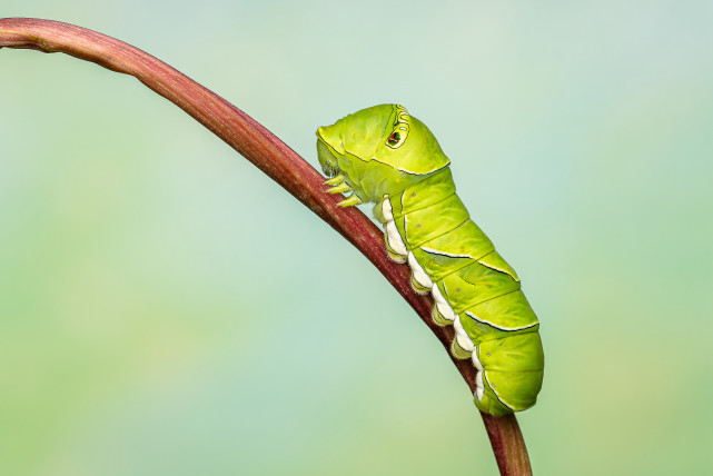 腾讯内容开放平台