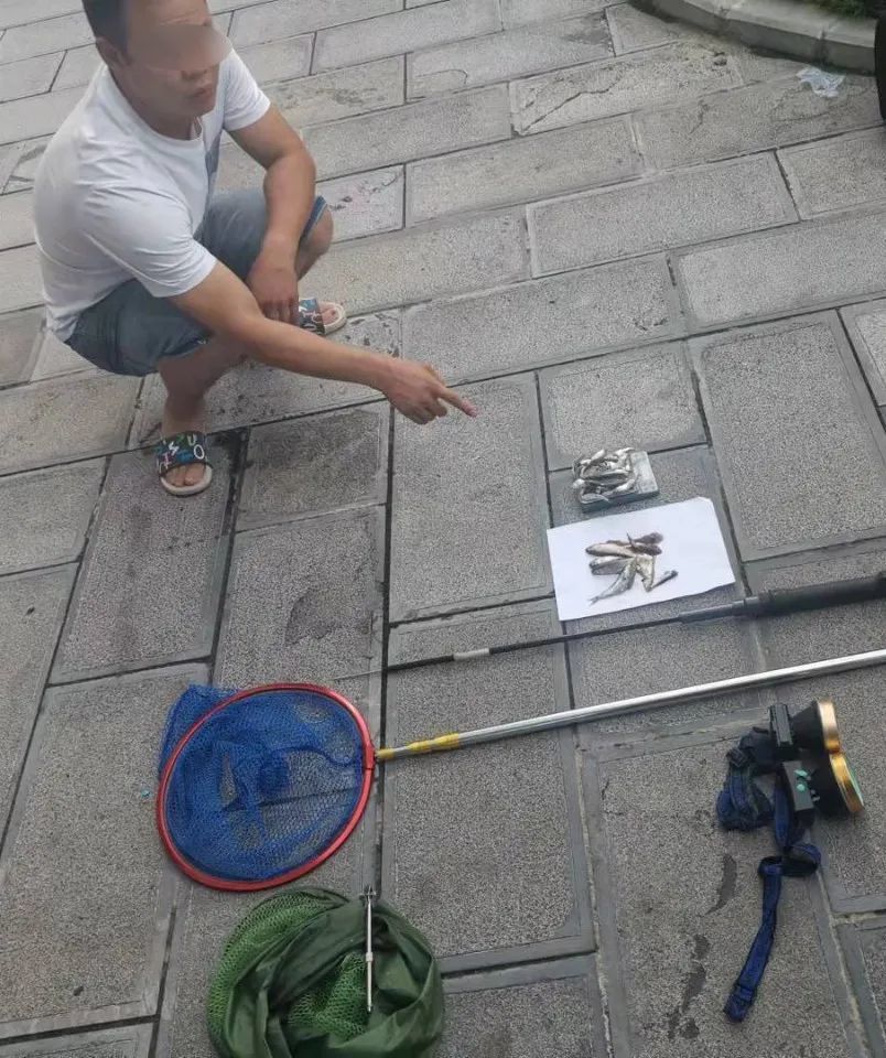 又是贪嘴惹的祸!两男子非法电鱼被抓现行
