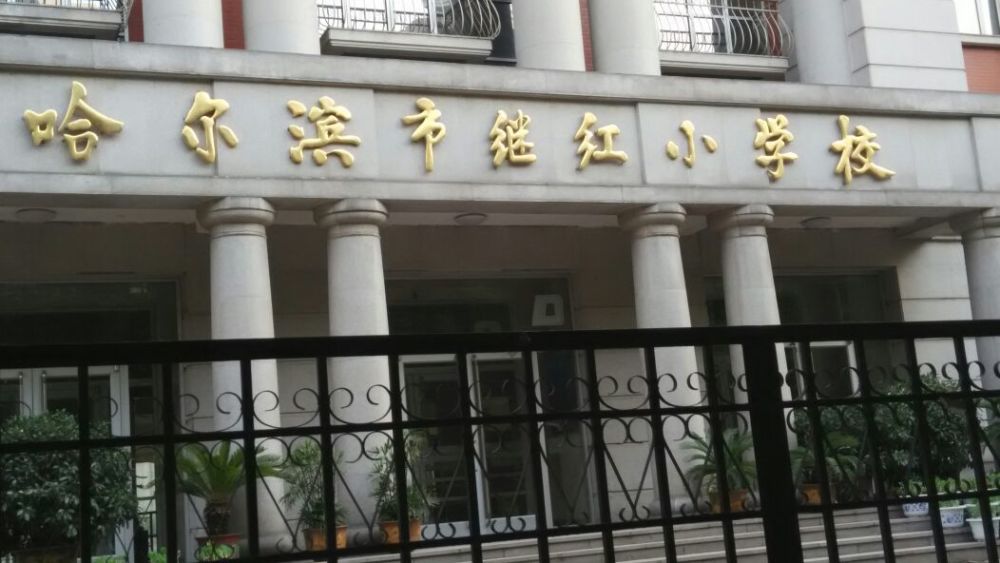 学区房价格是否坚挺哈尔滨市八所热门小学学区房价格走势分析