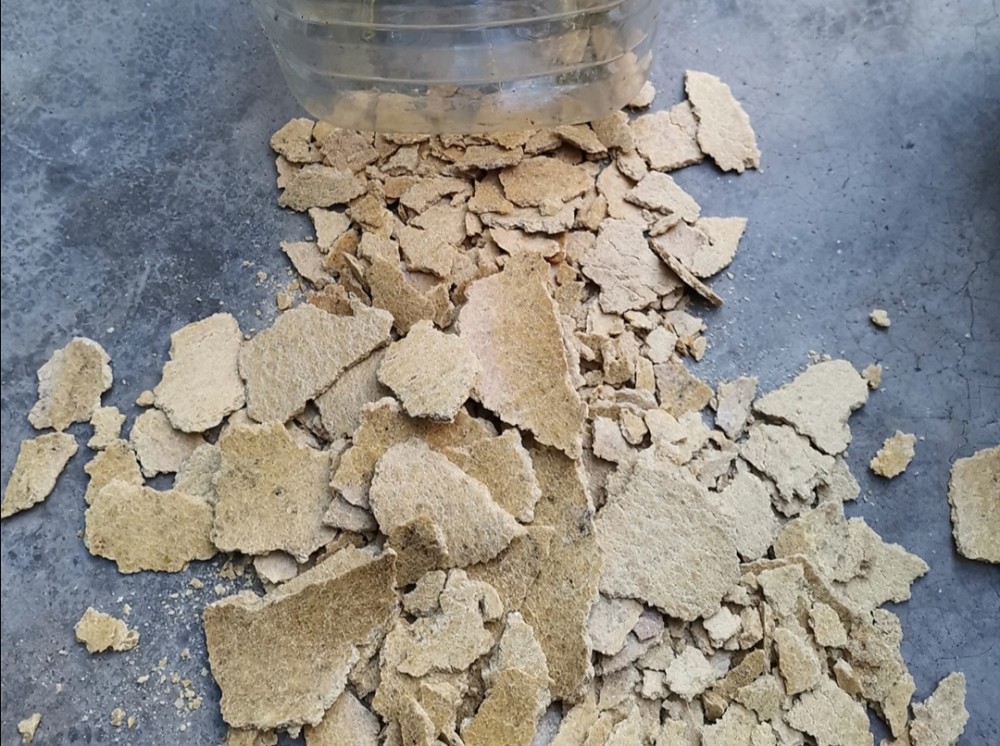 花肥不用买 这些东西做成 花肥 养什么花都长得旺 腾讯新闻