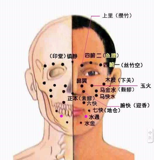 三叉穴和董氏奇穴中神耳穴,水金水通,通腎穴一樣,具有補穴的功能,不