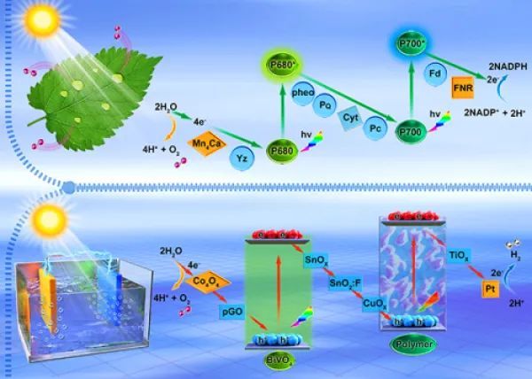 光电催化分解水制氢研究获进展