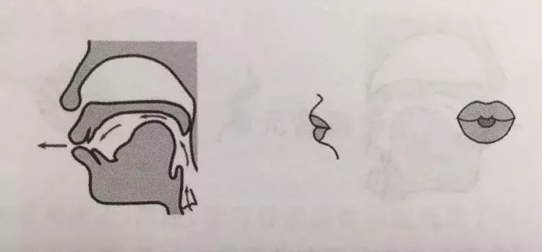 i 前高不圆唇元音 舌位及唇形图发音要领:单元音韵母: ü (前高圆唇