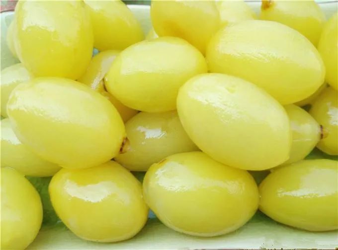 苦甘是味觉记忆也是潮汕人的人生哲学