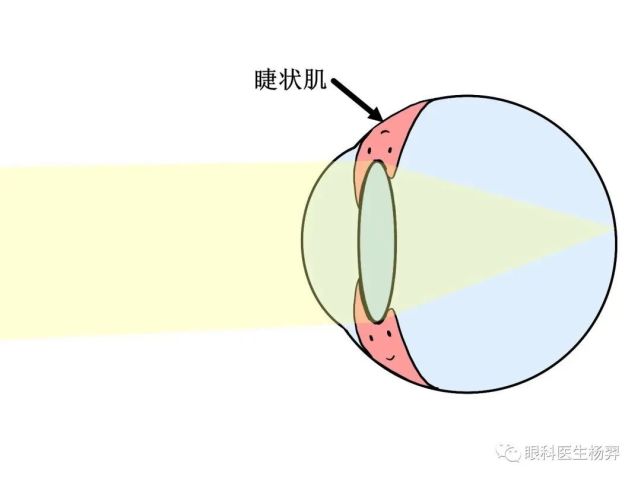 眼科医生杨羿:关于散瞳药,建议家长读读这篇|散瞳|孩子|杨羿|睫状肌