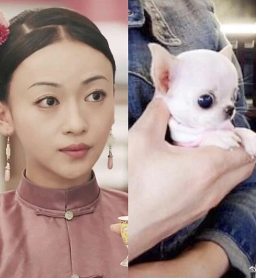 5分钟就弃剧!吴谨言新剧你赢了