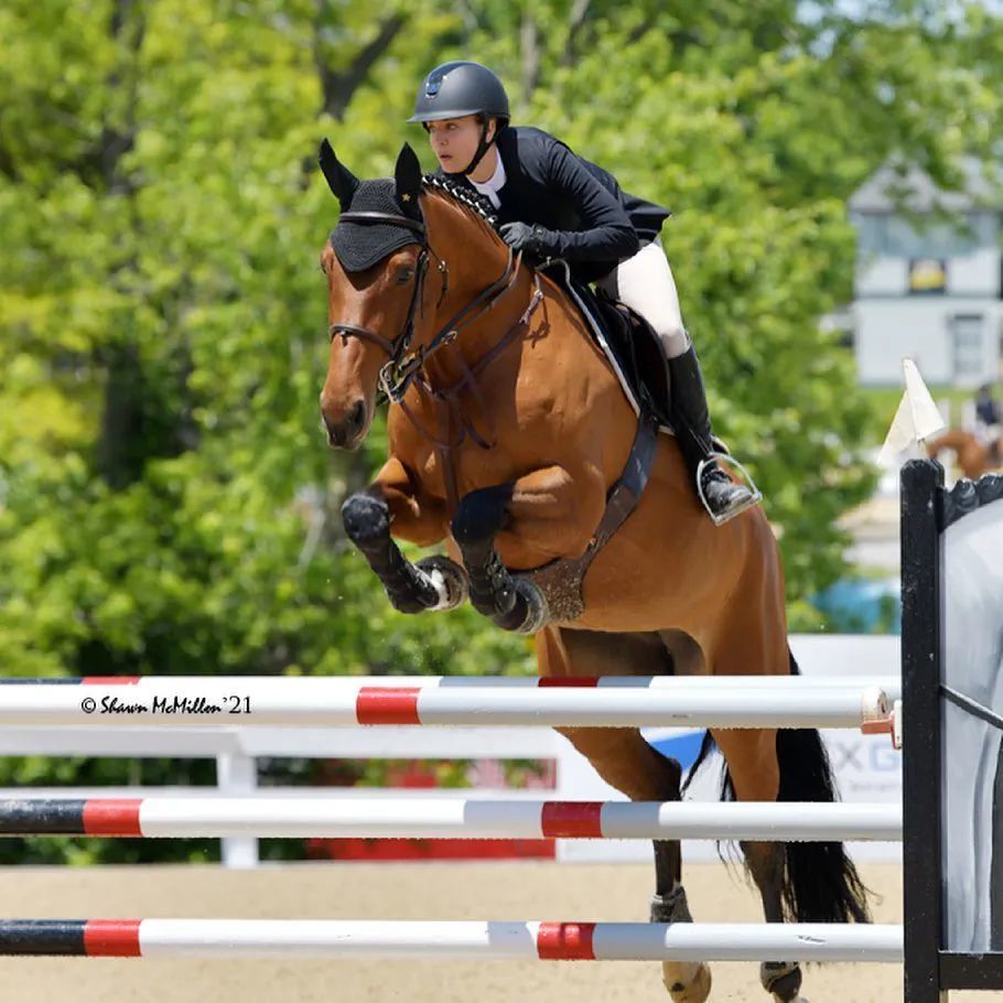 嫁富二代马术运动员3年,《生活大爆炸》女主角突然宣布离婚_腾讯新闻