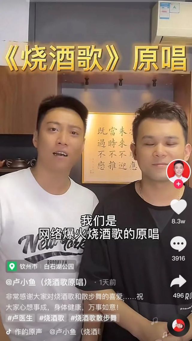 这对歌手一个叫卢小鱼,一个叫宝二,靠诙谐幽默的填词翻唱各种八九十